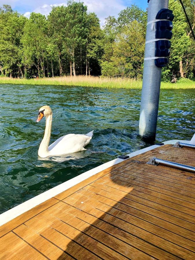 Luxusurlaub Auf Der Amavida Yacht / Scharmuetzelsee باد سارو المظهر الخارجي الصورة